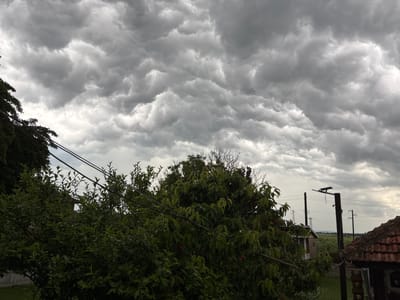 The image displays a dramatic and heavily clouded sky over a rural landscape in Pchelnik, Bulgaria. The most striking feature is the vast expanse of textured mammatus clouds, which dominate the upper portion of the frame. These clouds exhibit undulating, pouch-like formations in shades of dark grey and white, with brighter areas suggesting indirect light filtering through.
In the foreground, the lower right and bottom edges of the image are framed by dense, dark green foliage from a tree canopy. To the lower left, a section of a weathered terracotta tiled roof is visible. The middle ground reveals a flat, open landscape beneath the clouds, with several utility poles and their associated electrical wires stretching across the scene. One central utility pole has a small, dark rectangular object attached, possibly a small solar panel or a bird feeder. In the far background, a faint outline of a building with a roof is discernible against the muted horizon.
The scene suggests an overcast day, likely late afternoon or early evening, characterized by unstable weather conditions often associated with post-storm activity due to the presence of mammatus clouds. The overall lighting is dim and atmospheric. No people or visible text are present in the image.
