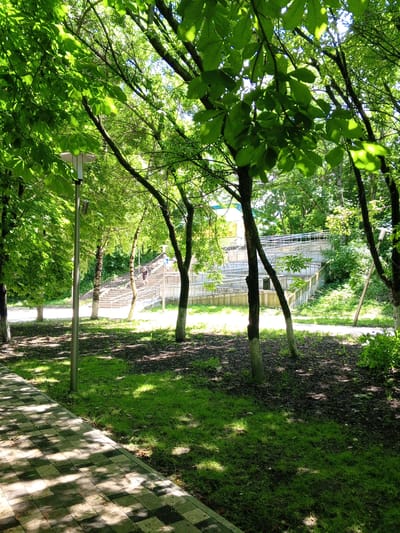 The image depicts a sunlit park scene with lush green trees and foliage. In the foreground, a patterned paved walkway with dappled sunlight patterns is visible. To the right of the walkway, a grassy area with dark mulch and scattered stones is present, with several trees whose lower trunks are painted white. In the background, a concrete staircase with metal railings leads upwards to a structure with a light-colored facade. A person is ascending the stairs. The overall impression is that of a tranquil outdoor public space. The provided context suggests this location is in the city of Yessentukskaya, Russia.