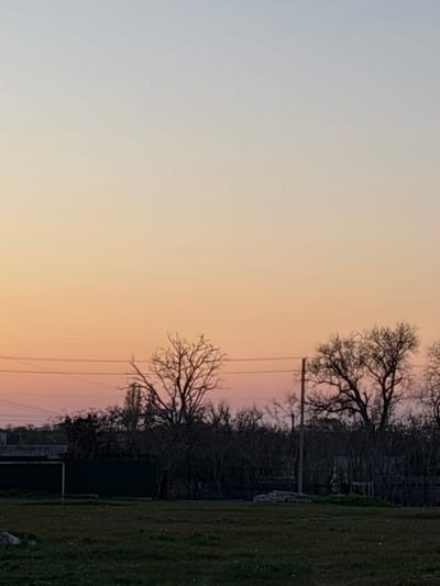 The image depicts a landscape at dusk or dawn. The sky transitions from a pale blue-grey on the left to shades of orange and pink towards the right. Silhouetted trees, devoid of leaves, stand against the sky.  Power lines are visible. To the right, there's an area with green grass and what appears to be a fence and a structure. The image appears to be taken outdoors, likely in a rural or suburban area, in Chornomorskoe, Ukraine. There are no people or animals visible in the frame.