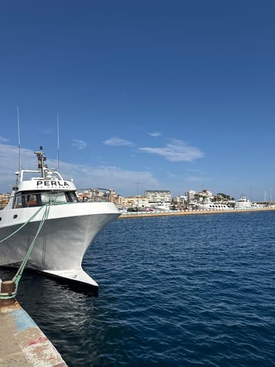 The image captures a bright, sunny day at a harbor in Palamós, Spain. The scene is dominated by a large, grey fishing boat named "PERLA DE PALAMOS," which is docked alongside a concrete pier. The boat occupies the foreground, with its bow pointed towards the viewer and slightly to the right. The deep blue water of the sea is visible to the right of the boat, rippling gently under the sunlight. In the background, a coastline is lined with white buildings, indicative of a Mediterranean town. The sky is a vibrant, clear blue with a few wispy clouds. The overall impression is one of a typical day in a coastal town, with the fishing vessel ready for its next voyage. The orientation of the image is portrait, with the top of the frame showing the sky and the bottom showing the boat and pier.