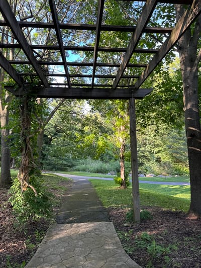 This image depicts a shaded pathway beneath a wooden pergola in a park or garden setting. The pergola, constructed from weathered wooden beams, forms a grid-like structure overhead, through which dappled sunlight filters, illuminating the path below. Vines have begun to grow up one of the pergola's posts on the left side of the image, adding a touch of natural encroachment. The pathway itself appears to be paved, with the foreground section featuring a decorative stone pattern. It leads into the distance, curving gently to the right, and is flanked by lush green grass and mature trees. The surrounding environment is rich with vegetation, including various trees with full canopies of green leaves, and undergrowth. In the background, a wider, paved area or road is visible, suggesting a larger park or recreational area. The lighting suggests it is daytime, possibly late afternoon given the angle of the shadows. The scene evokes a sense of tranquility and natural beauty. The location is identified as South Abington Township, United States of America.