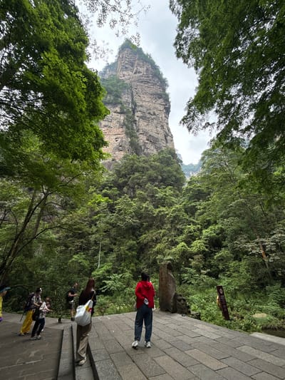 The scene depicts a rocky mountain partially obscured by dense, green foliage, possibly within the city of Luoguta, China. The lower portion of the image shows a paved walkway with multiple people present, some standing and others walking. A person in a red jacket stands on the walkway near a rock or stone monument. The sky is overcast, and the lighting suggests it's daytime. The overall environment appears natural and mountainous.