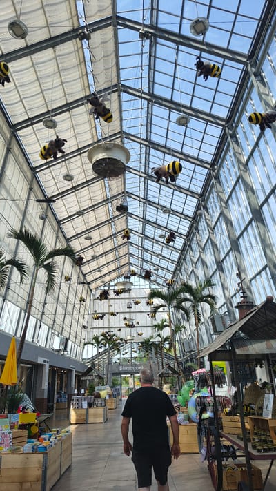 This is a photograph taken from within a large greenhouse or botanical garden in the city of Rain, Germany. The structure features a high, arched ceiling made of glass and metal framing, with a clear blue sky visible through the panes. Suspended from the ceiling by wires are numerous plush bee decorations, some large and some smaller, which appear to be a thematic element of the location.

In the foreground, a man with graying hair and wearing a black t-shirt and shorts walks away from the camera, towards the center of the greenhouse. His back is to the viewer, and his gaze is directed forward.

The environment within the greenhouse includes several elements. To the left, there are shops or stalls with wooden displays of merchandise, including books, toys, and other items. A large yellow umbrella is positioned near the shops. Further into the background, palm trees and other lush greenery are visible, adding to the tropical or garden atmosphere. In the center background, a sign reads "Blumenpark," indicating the name of the park. There are also small, rustic-looking structures that resemble market stalls or small buildings scattered throughout the space. The floor is paved with light-colored tiles. The lighting suggests it is daytime, with natural light streaming in from the glass ceiling.