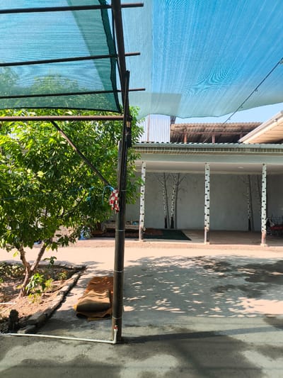 The image depicts an outdoor patio area with a tree and a covered structure. A large, blue shade cloth is stretched across metal poles, providing overhead cover. To the left, a leafy green tree is visible, with a rolled-up brown mat lying on the concrete ground nearby. The covered structure features white pillars decorated with painted birch tree designs. The ground is made of concrete, with shadows from the tree and shade cloth cast upon it. The background shows a building with a corrugated metal roof. The scene is set in Paytugh, Uzbekistan. There are no people visible in the image.