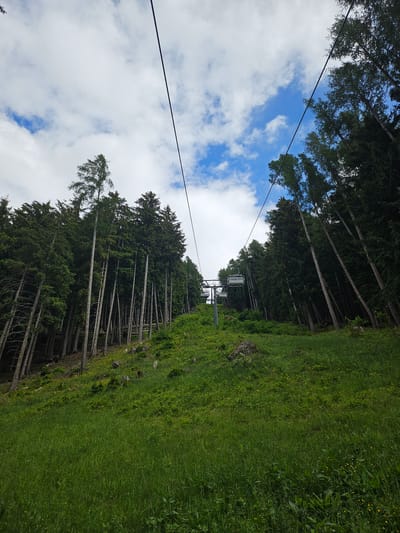 A low-angle, wide shot captures a cable car ascending a grassy, tree-lined slope under a cloudy blue sky in Pontagna, Italy. The cable car, consisting of several empty seats, is suspended from wires that stretch diagonally upwards towards the top right of the frame. A dense forest of tall, thin evergreen trees flanks the cable car's path on the right, with some trees also visible on the left side of the frame. The foreground is dominated by a vibrant green meadow, with scattered yellow wildflowers and a large rock stump visible on the left. The environment appears natural and mountainous.