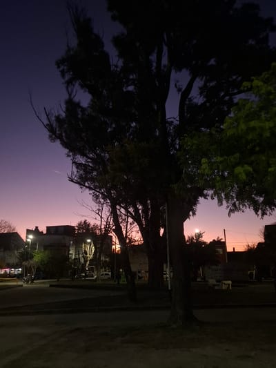 The image shows a street scene in Villa Domínico, Argentina, taken at dusk or dawn. The sky transitions from a deep purple in the upper left to a pale orange on the upper right, with the sun near the horizon. In the foreground, there's a large tree with dark green foliage obscuring a significant portion of the sky and casting shadows on the street. The buildings lining the street are low-rise, and several streetlights are visible, illuminating the path and nearby objects. There are pedestrians and cyclists on the street. A line of parked cars is also visible. A vehicle is parked with its lights on near a sign that reads "Trae turismo". The scene conveys a tranquil urban setting at twilight.