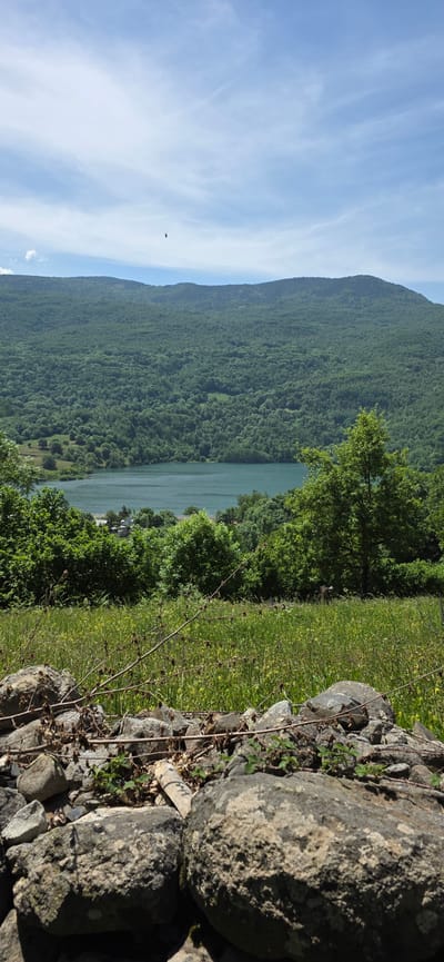 The image captures a view of the Escales Reservoir near Sahún, Spain. The landscape is dominated by a mountain covered in dense green forest on the left. To the right of the mountain, part of the reservoir is visible. A green grassy field is positioned to the right of the reservoir. In the foreground on the right are large grey rocks forming a wall, with some small plants growing between them. A blue sky with faint white clouds is above the mountain.