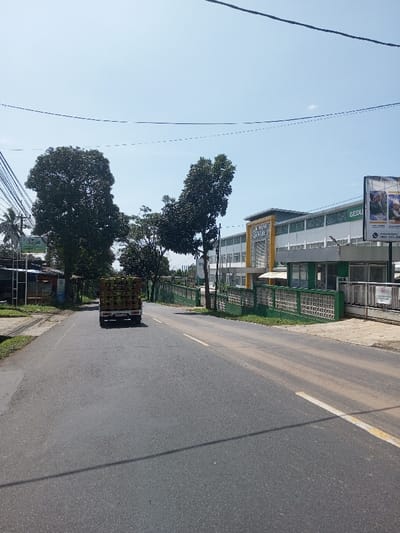 The scene depicts a daytime street view in Beteng_Pangkhar_Somthrang, Bhutan, under a clear blue sky with multiple dark overhead utility wires. A two-lane asphalt road with faded white and yellow lane markings extends from the foreground into the midground. A white pickup truck, equipped with a green cage-like cargo bed filled with numerous green cylindrical objects, is positioned centrally in the midground, traveling away from the viewer.
To the left of the road, a dirt shoulder borders a row of large trees with dense green foliage. A utility pole supporting multiple wires is visible on the far left, along with indistinct smaller structures behind the trees. The right side of the road is separated by a green-and-white patterned fence. Behind this fence stands a modern, multi-story building, predominantly white and green, featuring a prominent gold-colored architectural accent above what appears to be its main entrance. Text partially visible on this structure includes "SULAWESI BARAT". A large billboard displaying images of people and the partially visible word "GEDUNG" is situated to the right of the building. A white gate, bearing a sign with the word "KESEHATAN," is located at the far right of the property line. No individuals are visible in the scene.