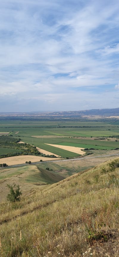 This is a landscape photograph taken from a high vantage point, looking out over a vast agricultural valley under a partly cloudy sky. The foreground is dominated by a steep, dry, grassy slope with several tracks or trails visible. A small, leafy tree grows on the left side of the slope.
In the midground, a winding paved road runs horizontally across the scene, separating the grassy slope from a patchwork of cultivated fields. The fields exhibit a variety of colors and textures, with areas of green crops, golden stubble, and lighter brown earth. Some fields are rectangular, while others follow the contours of the land. A line of trees runs along the edge of some of the fields.
The background reveals a broad, flat valley stretching to the horizon, dotted with more fields and a distant line of hills or mountains. The overall impression is one of rural expanse and agricultural activity. The scene is consistent with the geography of the Akmola Region of Kazakhstan, which includes the village of Syrymbet, known for its rolling plains and agricultural lands. There are no people or animals visible in the image. The lighting suggests it is daytime, likely late morning or afternoon, given the shadows.