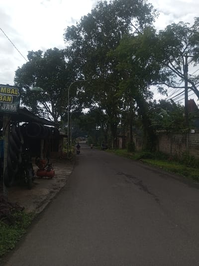 The image displays a roadside scene in Sarwahi Mal., India, under an overcast sky. In the foreground on the left, a rudimentary outdoor shop structure is visible. A yellow and black sign with partially legible text, "AMBAL BAN P JAM," hangs from its roof. Below the sign, a collection of approximately 15-20 black vehicle tires of various sizes are hung or stacked for display and sale. An orange air compressor with a red motor is positioned on the ground in front of the shop. A dark-colored motorcycle is parked directly in front of the compressor. Green ground vegetation grows along the edge of the paved surface. A light grey streetlamp with a green conical shade extends over the shop area.
The central feature is a dark grey asphalt road receding into the distance. Two individuals on motorcycles are observed traveling away from the viewer down this road. The lead motorcyclist, wearing dark attire and a helmet, is closer to the viewer. A second motorcyclist is further down the road, and a light-colored utility vehicle or small truck is parked on the right side of the road beyond the second motorcycle.
Both sides of the road are lined with dense, tall green trees, casting shadows and creating a canopy effect. On the right side of the road, a low, light-colored brick or concrete wall runs parallel to the pavement, partially obscured by green foliage. A utility pole with multiple overhead wires is visible on the right, integrated within the tree line. Glimpses of distant structures with reddish roofs are visible through the trees in the background. The sky is uniformly light grey, indicating heavy cloud cover.