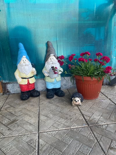 Two garden gnomes, a potted plant with pink flowers, and a small ceramic hedgehog are arranged on a tiled patio in front of a translucent blue corrugated plastic wall. The gnome on the left wears a blue hat, yellow shirt, red pants, and black boots. The gnome on the right has a grey hat, light green shirt, blue pants, and black boots and holds a small watering can. The hedgehog figurine is positioned in front of the potted plant. The tiles have a pattern resembling wood planks and cobblestones. The scene is outdoors, with evidence of recent watering on the patio tiles. The location is Sakmara, Russia.