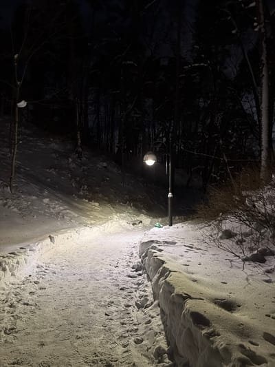 A snowy path winds under a lamppost illuminating its surface. The right side of the path is built up with snow, showcasing foot impressions. A dark, wooded area lies to the left, contrasting with the illuminated path. Branches peek out from the top and bottom, adding to the wintry scene.