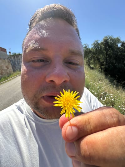 A close-up, low-angle shot shows a man holding a yellow dandelion flower to his nose on a sunny day, outdoors. The man is wearing a light blue t-shirt. His face is partially obscured by the flower and his hand, but his eyes are visible, and he appears to be smelling the flower. The background consists of a paved road, a stone wall, and a grassy hillside with sparse white flowers and trees. The sky is clear and blue. The lighting suggests it is midday. The scene appears to be in a rural or semi-rural area, possibly on the outskirts of Sant Feliu de Guíxols, Spain, given the style of the stone wall and the Mediterranean vegetation.