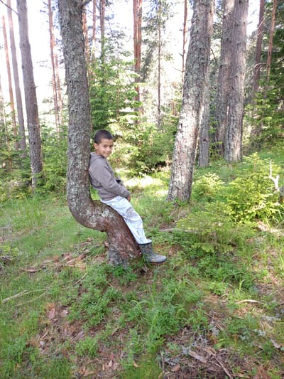 A young boy is sitting on a curved tree trunk in a forest. The boy is wearing a gray hooded sweatshirt and white pants with a green and black patterned boot on his left foot. He is smiling at the camera. The forest is dense with tall trees and lush green undergrowth. The ground is covered with grass, pine needles, and small plants. The scene is well-lit by natural sunlight filtering through the trees. This image was taken in the city of Sarnitsa, Bulgaria.
