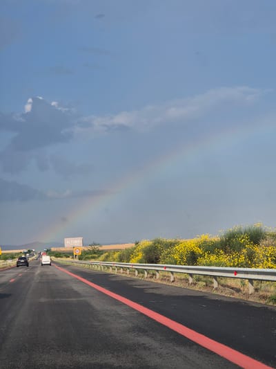 This image depicts a highway scene in Krustina, Bulgaria, under a sky with a visible rainbow. The road, paved with asphalt, features a distinctive red line along its edge. A metal guardrail separates the road from a verge densely populated with yellow wildflowers and green grass. The time of day appears to be late afternoon or early evening, given the lighting and the presence of a rainbow, which often appears when the sun is low in the sky and there's moisture in the air, suggesting recent or ongoing rain.

Several vehicles are traveling on the highway, including cars and a white van. A signpost on the right side of the road displays "ELTUBC" and a phone number, along with a yellow circular sign indicating a speed limit of 80. The overall atmosphere is serene, with the natural beauty of the wildflowers and the ethereal presence of the rainbow contrasting with the man-made structure of the highway. The sky is a mix of blue and grey, with some clouds visible, hinting at the weather conditions that produced the rainbow.