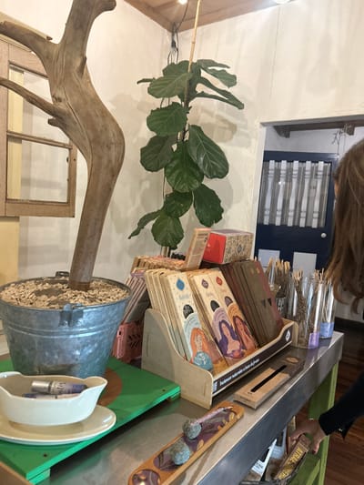 The scene is a shop in Escazú, Costa Rica. A large piece of driftwood, a potted ficus plant, and a metal bucket are arranged on a countertop covered in metal sheeting. The driftwood stands upright, with its roots exposed, in the bucket. The ficus plant has large, dark green leaves. On the countertop, there are boxes of incense sticks, a metal bowl with a white ceramic bowl inside, a green tray, and a wooden box containing a tray with two stones. The incense boxes are arranged on a wooden stand. The metal bowl is filled with a white, opaque liquid, a white bottle with a silver cap is visible. The green tray is resting on the counter. The stones are in the tray. A person with long, dark hair is reaching into a bin of items to the right of the scene. The bins contain various items, such as incense sticks and candles. The wooden box is open and contains a tray of incense sticks. The scene is lit by natural light. The background is made up of a white wall with a window, a door, and a wooden beam. The door is blue with white vertical slats and a window pane at the top. The window is covered with white fabric. The wooden beam is visible near the top of the image.