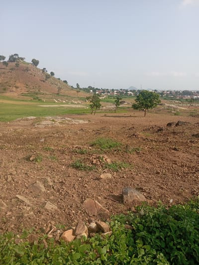 The image shows a rural landscape in Tasha, Nigeria. The foreground consists of dry, reddish-brown earth with scattered rocks and sparse green vegetation. In the midground, a grassy field is visible, with a herd of white animals, likely sheep or goats, grazing. A few scattered trees dot the landscape. Further in the background, a town with various buildings and structures can be seen, nestled at the foot of a rocky, tree-covered hill. The sky is a pale blue with some wispy clouds. The overall scene depicts a semi-arid environment with signs of human settlement in the distance.