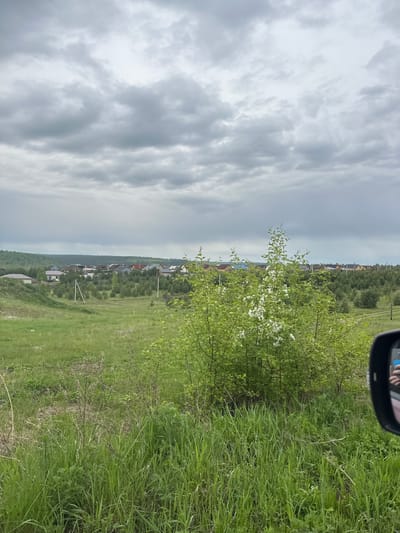 The image presents a wide view of a rural landscape, likely captured from a moving vehicle as suggested by the partial view of a car's side mirror in the upper right corner. The foreground is dominated by lush green grasses and vibrant green bushes, some adorned with small white blossoms, indicating spring or early summer.
In the mid-ground, a valley or gently rolling terrain unfolds, revealing a scattered settlement or village composed of houses with various roof colors, interspersed with trees and utility poles. Beyond these dwellings, a dense line of forest stretches across the horizon, bordering the cultivated or settled area.
The sky is heavily overcast with prominent grey clouds, suggesting a cloudy day without direct sunlight. The overall lighting indicates daytime. No discernible people or specific activities are clearly visible, apart from the implied travel by car. The scene depicts a serene natural environment, consistent with a rural setting in Kuda, Russia. No visible text is present.