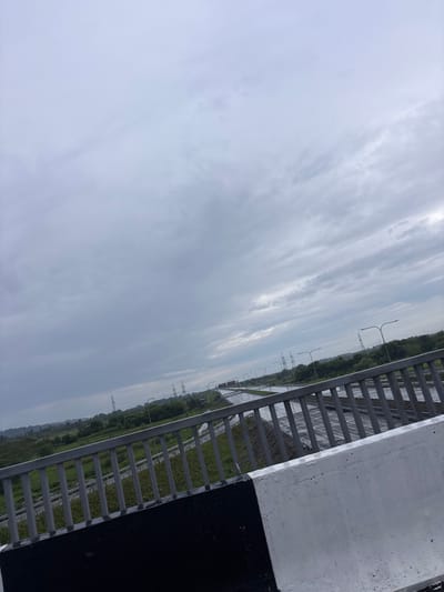 The image depicts a view from a bridge overlooking a highway in a rural or suburban area. The sky is overcast with grey clouds. The highway stretches into the distance, with multiple lanes visible and some vehicles present. On either side of the highway, there is green vegetation and trees. In the background, there are power lines and transmission towers. The foreground shows the railing and concrete barrier of the bridge. The scene appears to be in a natural environment, likely outside a major city. There are no people or specific structures that would pinpoint an exact location in the city of Lesi's Temi, Georgia, beyond it being a roadside scene within that general area.