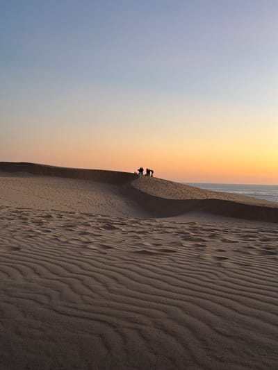 This is a vertical, medium-shot photograph of sand dunes in La Teste-de-Buch, France, during sunset. The sky transitions from a pale blue at the top to a warm orange and yellow gradient near the horizon. A group of silhouetted people, numbering between five and seven, are standing on the crest of a large sand dune in the mid-ground, facing towards the water. The dune itself displays numerous footprints and wind-blown ripples, creating texture and depth. The foreground is dominated by more sand dunes with pronounced ripple patterns, rendered in darker tones. To the right of the main dune, a body of water, likely the ocean, is visible meeting the horizon.