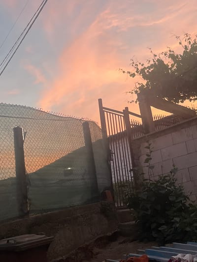 The image depicts an outdoor scene at dusk, likely in Dupnitsa, Bulgaria, characterized by a vibrant sky transitioning from pale blue to warm hues of orange and pink. In the foreground, a chain-link fence with green mesh covering stretches across the frame, supported by wooden posts. Beyond the fence, a dark silhouette suggests a sloping ground or structure. To the right, a metal gate with vertical bars stands in front of a stone wall. A dense bush with dark green leaves grows in front of the wall, partially obscuring a darker, possibly paved, area. Above, the branches of a vine with sparse leaves extend towards the colorful sky. The overall impression is one of a residential or industrial backyard at the end of the day.
