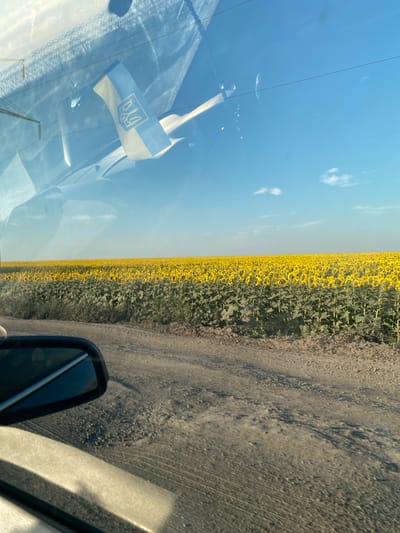 This image depicts a vast field of blooming sunflowers under a clear blue sky. The perspective is from inside a vehicle, with the side mirror and a portion of the car's interior visible in the foreground. A Ukrainian flag is reflected in the windshield, its blue and yellow colors prominent against the sky. The road leading to the field is unpaved and appears to be made of dirt and gravel. The sun is shining, casting shadows and illuminating the vibrant yellow petals of the sunflowers. The overall scene suggests a rural landscape in Ukraine, possibly the city of Maiske.