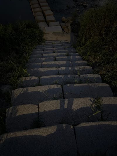 A descending stone staircase with rough-hewn, rectangular stone steps, partially overgrown with green grass and weeds, is pictured. The steps are unevenly lit by ambient light, casting distinct shadows across their surfaces. The staircase appears to lead down towards a dark body of water, possibly a river or stream, on the upper left of the frame. On either side of the staircase, dense, dark green foliage and tall grasses are visible, creating a natural, somewhat wild embankment. The scene suggests an outdoor setting, potentially a park or a natural area within Dongducheon-si, South Korea. The lighting indicates it could be twilight or a shaded area. No individuals or specific actions are depicted.