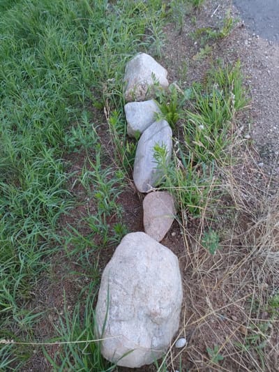 The image shows a line of five rocks of varying sizes nestled in grass and dirt next to a paved surface. The rocks are predominantly gray and tan, with some exhibiting smooth, rounded surfaces while others are more irregular. The larger rocks are at the ends of the line, with smaller ones in the middle. The surrounding environment consists of green grass, dry straw-like vegetation, and bare dirt with some scattered pebbles. The paved surface, likely a road or pathway, is visible in the upper right portion of the image. There are no people or animals present. The scene appears to be an outdoor setting, possibly a roadside or a park area, in the vicinity of Дзешчанскі сельскі Савет, Belarus.