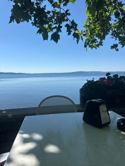 The scene is set at an outdoor restaurant overlooking a body of water, likely Lake Bracciano, in Trevignano Romano, Italy.
The image is oriented such that the lake appears vertical in the center. The sky is a clear blue on the left, partially obscured by a leafy tree branch in the upper left corner. Across the lake are distant hills or mountains.
On the right, a white marble-patterned table is visible. A white, wire-mesh chair is situated next to the table. On the table, there's a black object with white print on it, likely a container for napkins or condiments with branding. A black object that appears to be a bottle sits near the table's edge. Red flowers are in a pot in the center of the image.
No people are visible in the frame.