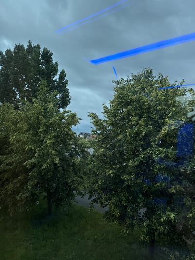 The image shows a view through a window, with trees and a cloudy sky visible. Two large, leafy trees dominate the foreground. The tree on the left is darker green, while the tree on the right has lighter green and yellowing leaves, suggesting it might be a different species or in a different stage of growth. In the background, beyond the trees, a body of water is visible, and further in the distance, there are houses with peaked roofs and a street lamp. The sky is overcast with dark, heavy clouds. Two bright blue, rectangular streaks of light are present in the upper portion of the image, appearing to be reflections or light patterns from inside the building where the photo was taken. The ground in the foreground is covered in grass, with some patches of yellow flowers. A white object, possibly a bird or a piece of litter, is visible on the grass near the base of the left tree. The scene suggests an outdoor environment, possibly a park or residential area, with a slightly gloomy or overcast atmosphere. The presence of houses and street infrastructure suggests an urban or suburban setting. Based on common urban landscapes in Poland, this scene could be located in a residential area within the city of Świebodzin, Poland, where such vegetation and housing structures are typical.