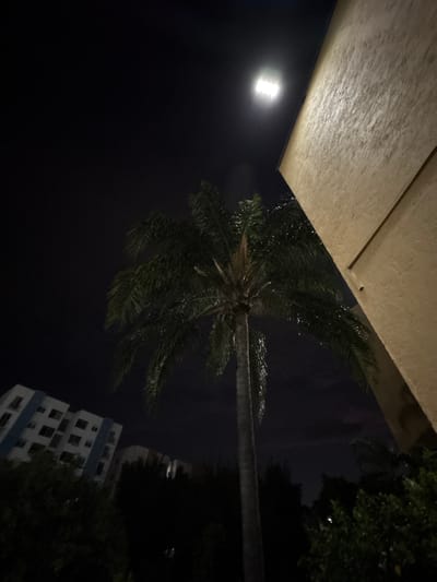 The image captures a nighttime scene in Cuernavaca, Mexico, featuring a palm tree silhouetted against a dark sky illuminated by a bright, rectangular light fixture. To the right, a portion of a light-colored building with a textured facade dominates the upper right quadrant. In the lower left, a multi-story building with white and blue accents is visible behind dark foliage. The overall impression is that of an urban environment at night, with artificial lighting and architectural elements contrasting with the natural presence of the palm tree.