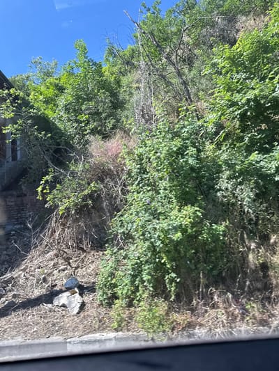 The image depicts a lush, overgrown hillside with vegetation spilling onto a paved area. There appears to be a decaying brick structure, possibly the remains of a building or wall, partially obscured by foliage at the bottom. A patch of blue sky is visible in the upper left corner. At the bottom right corner there is a segment of gray sidewalk and the dark frame of an open car window. Given the prompt specifying Krichim, Bulgaria, it is likely this scene is located in or near that city. The scene suggests a location where nature is reclaiming a previously developed area. A medium gray rock is laying on the edge of the pavement in the bottom right of the image.