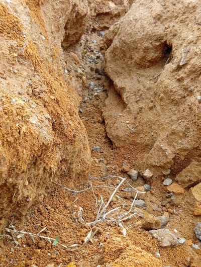 The media file shows a close-up view of a dirt embankment with a narrow ravine or gully running through it. The embankment is composed of reddish-brown soil, mixed with small pebbles and rocks. The ravine walls are steep and uneven, with some areas showing signs of erosion. Dry twigs and sparse, dried grass are scattered across the ground and the embankment.
The scene appears to be outdoors in a natural setting, likely in Kuru, Nigeria, as indicated by the location context. The lighting suggests it could be daytime, with no obvious signs of specific weather conditions. The overall impression is one of a dry, possibly arid environment, characterized by the earthy tones and the presence of desiccated plant matter. There is no discernible activity taking place, and no people or text are visible in the image. The focus is on the geological features of the eroded land and the surrounding soil.