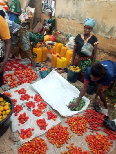 An outdoor market scene displays an assortment of produce and individuals. Several piles of red tomatoes and peppers are spread out on cloths. Yellow containers stand behind the vegetables. Women are actively involved in sorting and selling produce. One woman wears a blue headscarf, while others are clad in casual attire. A large white bag holds green vegetables. Buckets filled with tomatoes and yellow fruits are also present. The scene conveys a vibrant sense of local commerce.