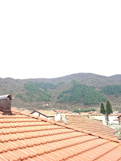 The image displays an elevated view of Krupnik, Bulgaria, showcasing residential rooftops against a backdrop of mountains under an overcast sky. In the foreground, a large, sloped roof covered with reddish-orange terracotta tiles extends from the lower left to the lower right of the frame. A metallic chimney cap, possibly a cowl type, is prominently situated on the left side of this foreground roof.

Immediately behind this roof, the midground reveals a village settlement comprised of multiple buildings, each with similarly tiled roofs and various chimney structures; some chimneys are stuccoed white, while others appear as exposed masonry. A building with a white facade and a brown roof peak is visible slightly left of the center in the midground. Further to the right, a cream-colored building with a terracotta roof is discernible. Two tall, dark green coniferous trees stand distinctly in the right midground, situated between the buildings and the distant mountains. A small section of a tree displaying white blossoms is visible on the far right edge of the frame, in front of the village structures.

The background is dominated by a range of rugged mountains, extensively covered in a dense forest, exhibiting a mix of dark green evergreen and lighter green/brown deciduous trees. The sky above is uniformly light gray to white, indicating heavy cloud cover or an overcast day. No individuals, specific actions, or interactions are visible within the depicted scene.