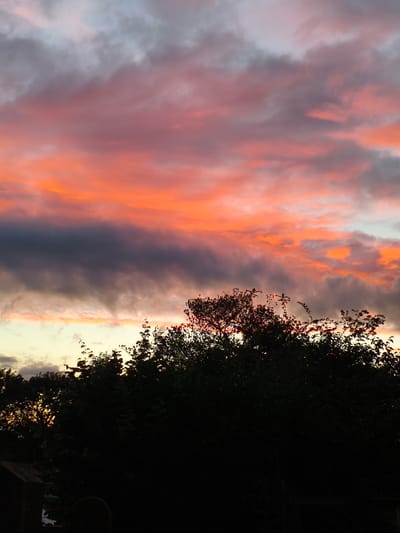The image shows a dramatic sunset over a silhouetted treeline and vegetation in Wychavon, United Kingdom. The sky is filled with vibrant colors, ranging from bright orange and pink to dark grey clouds. The lower portion of the image is dominated by the dark silhouettes of trees and bushes, with some hints of light breaking through the foliage on the left side, suggesting the direction of the setting sun. The scene appears to be a rural or semi-rural environment, possibly a garden or park area. There are no people or animals visible in the image. The overall atmosphere is one of natural beauty and a sense of the day ending.
