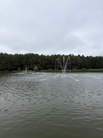 The image depicts a serene lake with fountains spraying water in the foreground. The lake is surrounded by a dense forest of green trees. The sky is overcast and cloudy, suggesting a gloomy or a peaceful day. In the distance, a small wooden structure is visible near the edge of the lake, possibly a shed or a small building. The water is slightly rippled, reflecting the muted light of the sky. The image is taken in a vertical orientation, giving a sense of depth and expanse to the natural scene. There are no people visible in the image. The overall mood is tranquil and natural, with the fountains adding a dynamic element to the stillness of the water and the surrounding landscape. There is no visible text in the image.