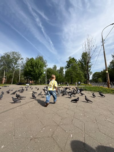 A young child wearing a yellow patterned shirt and jeans is walking on a paved area surrounded by a flock of pigeons. The child appears to be in motion, possibly scattering the birds. The location is outdoors, likely a park or public square. Background elements include trees, a utility pole, and a partially cloudy sky. The image orientation is rotated. The location is Yazvitsevo, Russia.