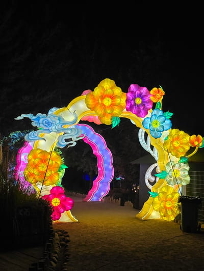An illuminated floral archway stands against a dark night sky. The arch is adorned with brightly colored flowers in shades of yellow, orange, pink, purple, and blue, with green foliage. The archway is constructed of white and yellow material, with some areas outlined in pink and purple. Swirling blue cloud-like shapes are attached to the left side of the arch. The arch is located at the Magical Lanterns Festival in the city of Puente Alto, Chile. In the background, there is a glimpse of a brightly lit tunnel or pathway. The ground around the archway appears to be dirt or gravel. To the right of the archway, there is a partial view of a structure with a stacked rock and wooden beam design.