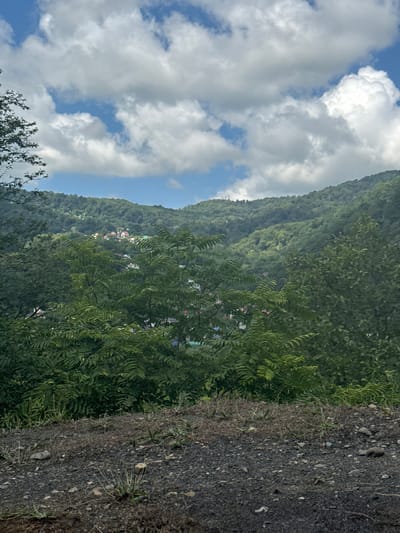 In Plastunka, Russia, a verdant mountain slopes upwards, its inclines blanketed in dense green foliage. Scattered amongst the trees are a cluster of buildings, their roofs painted in vibrant hues of red, yellow, blue, and green, creating a picturesque village scene. The foreground is dominated by a dark, rocky terrain, interspersed with sparse, dry grasses and small pebbles. Above, the sky is a canvas of bright blue, dotted with fluffy white clouds, adding a dramatic touch to the natural landscape. The image captures a serene moment, a harmonious blend of human habitation and the raw beauty of nature.