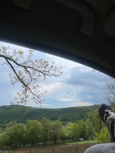 The image shows a view from inside a vehicle, possibly a car, looking out the window. To the left is the interior of the vehicle in dark grey and black. The main view through the window shows a landscape with a tree in the foreground, its bare branches reaching towards a partly cloudy sky. Beyond the tree is a green, densely forested hillside or mountain. To the right of the hillside, there is a patch of cultivated land and glimpses of what might be a rural area. A foot and shoe are partially visible in the upper right corner. The location is likely in a rural setting in the Chiatura, Georgia area, as indicated by the landscape and vegetation. The image lacks distinct people or actions, focusing primarily on the scenic view.