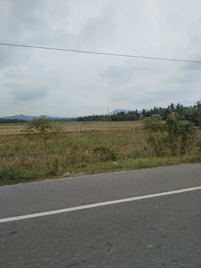 The image depicts a landscape view of a rural area with a road in the foreground. A gray asphalt road with a white line marking runs diagonally across the bottom of the frame. Beyond the road, a field of dry, golden-brown grass and some green vegetation is visible. A few small trees are scattered throughout the field. In the background, a line of trees, some of which appear to be palm trees, forms a horizon. Further in the distance, rolling hills or mountains can be seen under a cloudy sky. A tall electrical pylon is also visible on the left side of the background. The scene appears to be located in a tropical or subtropical region, possibly in the city of Keudealuerheung, Indonesia, given the vegetation and the presence of the electrical pylon commonly found in such areas. There are no people or animals visible in the image.
