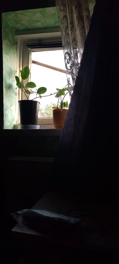 The image shows a dimly lit indoor scene, likely a room in Shkurinskaya, Russia, with a window as the main light source. Two potted plants, one in a dark pot and another in an orange pot, are placed on a windowsill. A sheer, patterned curtain hangs to the right of the window, partially obscuring the view outside. The wall around the window is decorated with a green, geometric pattern. In the foreground, a dark surface is visible, on which a piece of white material, possibly paper or fabric, is illuminated by faint light. The lower part of the image is predominantly dark, suggesting the room is not well-lit. A heating radiator with a slatted cover is visible below the windowsill on the left side.