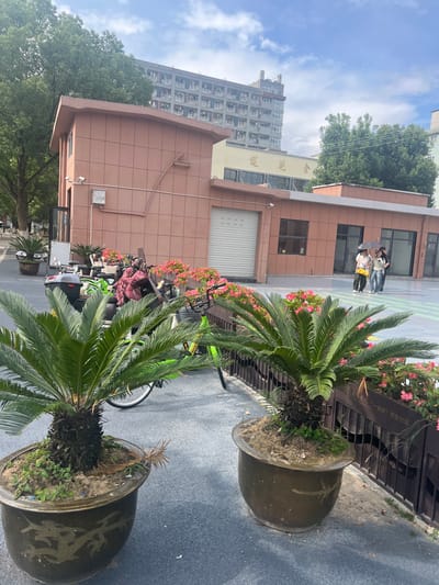 The image depicts an outdoor scene in Liandu District, China. In the foreground, two large potted cycad plants are prominently displayed, their fronds reaching upwards. Behind the plants, a brown building with a roller shutter door is visible. A group of people, possibly tourists, are gathered in front of the building, one holding an umbrella, suggesting it might be raining or the sun is very strong. Further in the background, a tall apartment building stands against a blue sky with scattered clouds. The scene is characterized by a mix of urban architecture and greenery.
A line of bicycles, some of which appear to be for rent, is parked along the building. Pink flowers are planted in beds along a dark wooden fence. Visible text on the fence reads "一品” 幸福社区”, which translates to "One-grade" Happy Community". The lighting suggests it is daytime. The overall mood is ordinary and functional, capturing a typical street view.