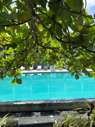 The image shows a bright, sunlit scene of a swimming pool in Mirissa, Sri Lanka. Lush green foliage from a tree hangs overhead, casting dappled shadows across the frame and obscuring parts of the view. String lights with Edison-style bulbs are visible amongst the leaves. The swimming pool is filled with clear, turquoise water, reflecting the blue sky and clouds above. Along the far edge of the pool, white lounge chairs are arranged on a paved deck. A low wall made of grey stone bricks borders the pool, with a metal grate visible below it. In the foreground, a patch of yellow and green striped plants is visible, with a small black device on a tripod stand positioned amongst them. The overall impression is one of a tranquil resort setting.