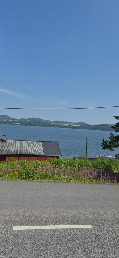 The image depicts a scenic view of a lake and its surroundings. A red building with a gray and black roof is situated on the left side of the frame, partially obscured by lush green foliage and purple wildflowers. A paved road with a white line runs across the bottom of the image. In the distance, a calm blue lake stretches towards a horizon dotted with rolling green hills and scattered houses, indicating a rural or semi-rural setting. The sky is a clear, bright blue. A power line is visible horizontally across the upper portion of the image. A single tree stands on the right side of the frame. The scene appears to be a peaceful summer day. The location is identified as Redalen, Norway.