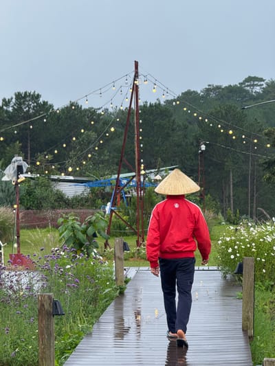 The image depicts a person from behind, wearing a conical hat and a red jacket, walking away from the viewer on a wet wooden boardwalk. The boardwalk is lined with lush green vegetation, including flowering plants in shades of purple and white. In the background, there are trees, a building with a metal roof, and a series of decorative string lights illuminating the overcast sky. The scene appears to be an outdoor setting, possibly a garden or park, in a rural or semi-rural area, consistent with locations like Xuan Truong in Da Lat, Vietnam, known for its natural beauty and agricultural landscapes. The lighting suggests it might be dusk or an overcast day.