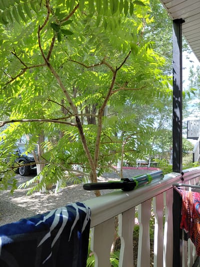 The image depicts a view from a porch railing overlooking a sun-drenched outdoor scene. In the foreground, a white porch railing is visible, with a blue and white striped towel draped over it on the left, and a colorful patterned garment hanging on a clothesline on the right. A green and black cylindrical object, possibly a tool or toy, rests on the railing. Beyond the railing, lush green foliage from a tree dominates the mid-ground, with branches extending across the frame. Sunlight filters through the leaves, creating dappled light. In the background, a black SUV is parked on a gravel surface. Further back, a white railing with vertical spindles suggests another part of the porch or a raised structure. The overall impression is of a warm, daytime outdoor setting. The location is the village of Akshy, Kazakhstan, suggested by the query.