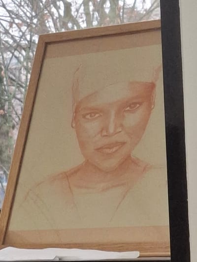 An interior shot shows a framed portrait drawing resting upright on a light-colored surface, positioned in front of a window. The drawing depicts a person, likely female, from the chest up, rendered in reddish-brown tones on a light beige background. The subject wears a head wrap, possesses dark eyes, a small nose, and full lips, with a subtle smirk on one side of the mouth. The artwork is enclosed in a simple, light-colored wooden frame. Through the window behind the frame, bare tree branches are visible under an overcast sky, suggesting an outdoor, possibly urban, environment during autumn or winter. A faint silhouette of a distant building can be seen through the branches on the upper left. A dark, vertical element partially obscures the right side of the frame, and a sliver of white material lies beneath the frame's bottom edge. The specific location within the city of Grenoble, France, cannot be determined from the visual evidence provided.
