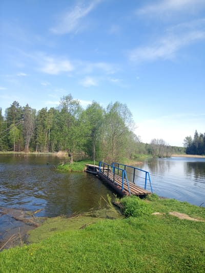 The image depicts a tranquil scene at a lake or pond, likely in a rural area. A small wooden bridge with blue railings extends from the grassy bank into the water. The bank is covered with green grass and some aquatic vegetation. The water is calm with slight ripples. In the background, there is a dense forest with a variety of deciduous and coniferous trees. The sky is blue with scattered white clouds. The location is the city of Ural'skoe, Russia. There are no people visible in the image.